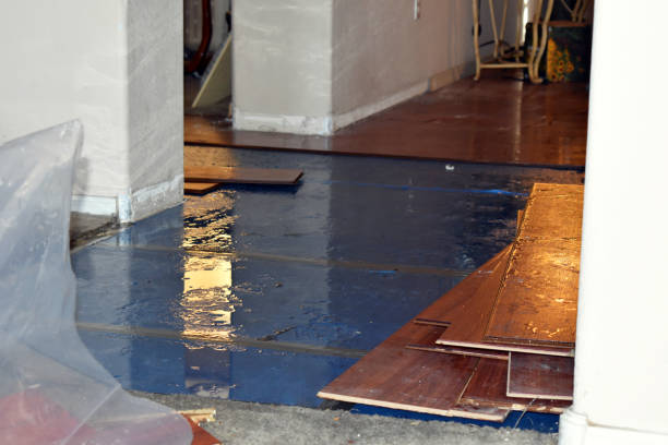 Professional Burst Pipe Water Damage technician working in Columbus, KS